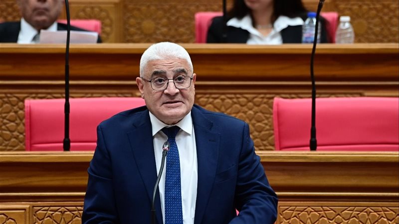 رئيس التأمينات: منظومة صرف المعاشات تعمل بكفاءة ولا أزمة في السيستم