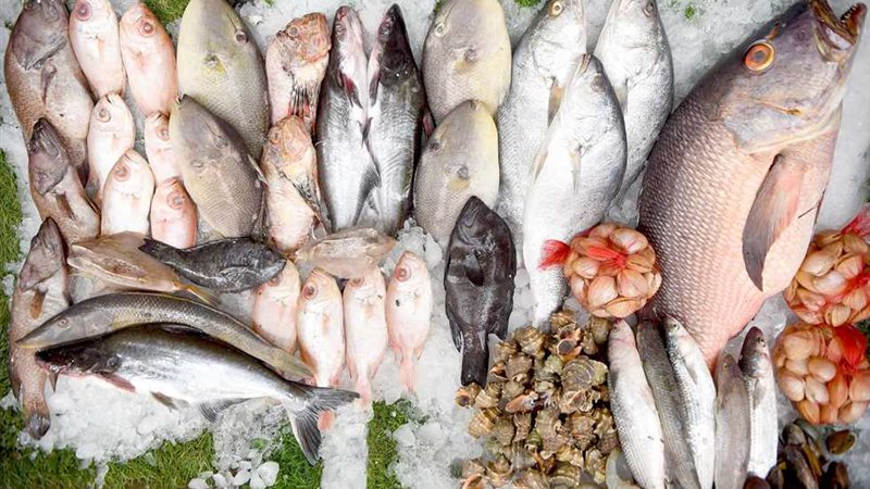 تراجع قشر البياض والجمبري في سوق العبور.. وارتفاع مكرونة السويسي 20 جنيهًا