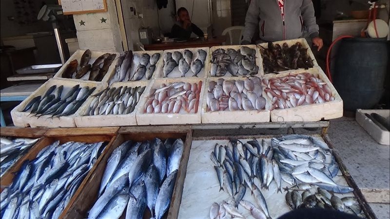 أسعار الأسماك في سوق العبور اليوم.. قشر البياض يقفز 20 جنيهًا والمكرونة السويسي تتراجع