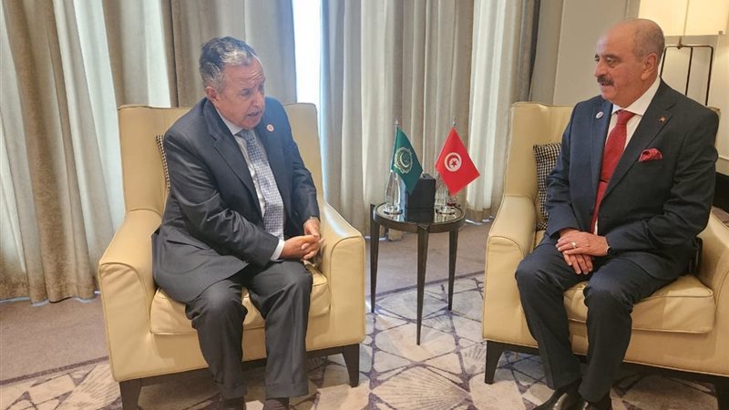نبيل فهمي ووزير خارجية تونس يبحثان دعم فلسطين وتطوير العمل العربي المشترك