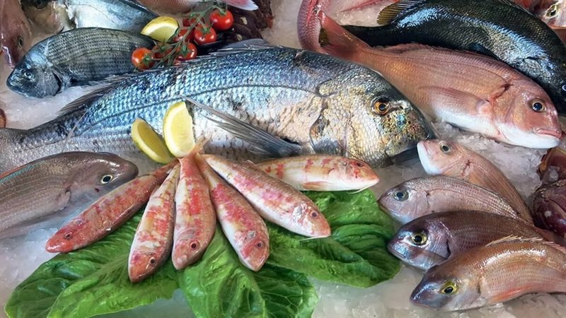 أسعار الأسماك في العبور اليوم الخميس.. البلطي الممتاز يرتفع 3 جنيهات