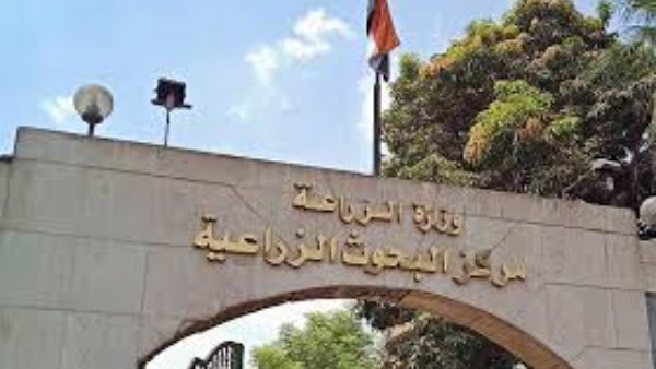 الزراعة تستعرض أنشطة مراكز البحوث وتوقع تعاونًا صينيًا لتطوير قطاع النخيل