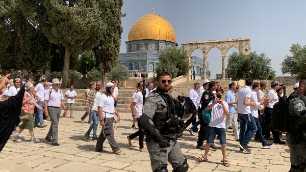 الإفتاء: لا يجوز المسح على الجوارب القصيرة أسفل الكعبين