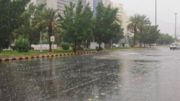الأرصاد تحذر من شبورة كثيفة وأمطار رعدية في مناطق متفرقة بدءًا من الأحد