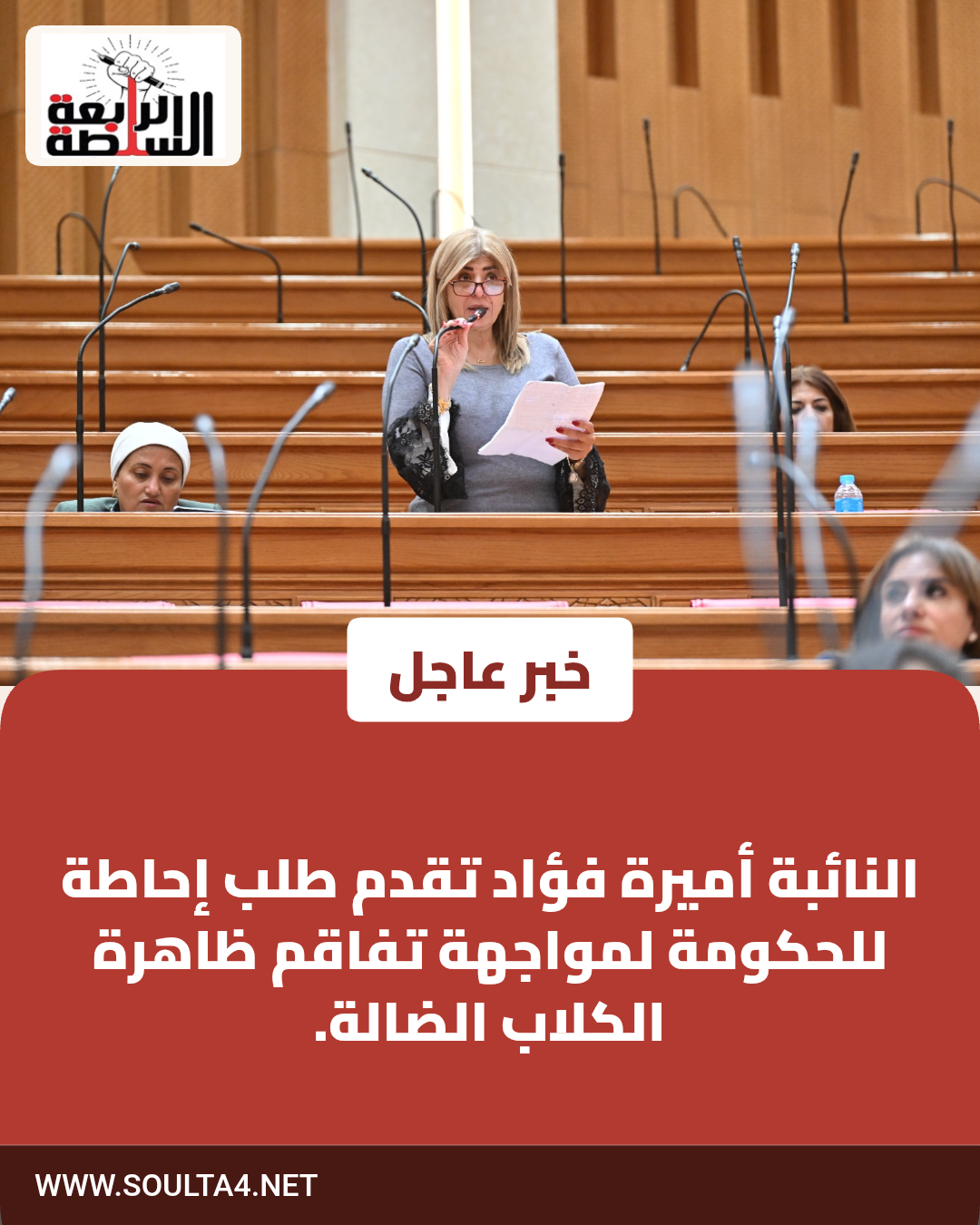 النائبة أميرة فؤاد تقدم طلب إحاطة للحكومة لمواجهة تفاقم ظاهرة الكلاب الضالة.