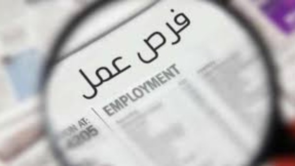 وزارة العمل تعلن 1095 فرصة عمل في 13 محافظة برواتب تصل إلى 20 ألف جنيه