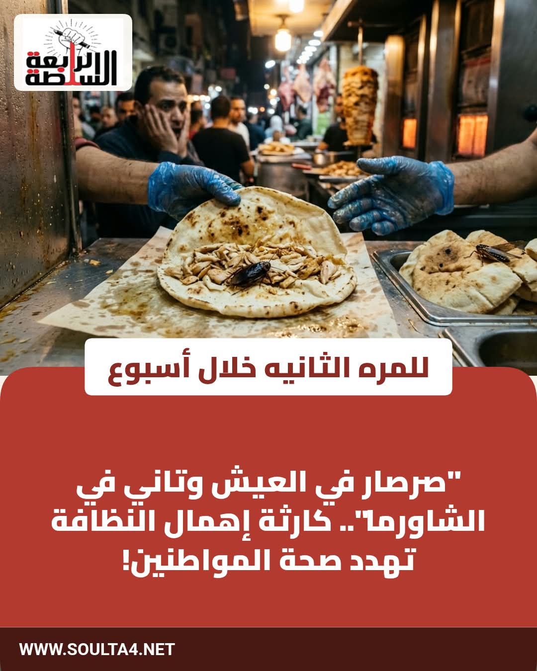 "صرصار في العيش وتاني في الشاورما... كارثة إهمال النظافة تهدد صحة المواطنين