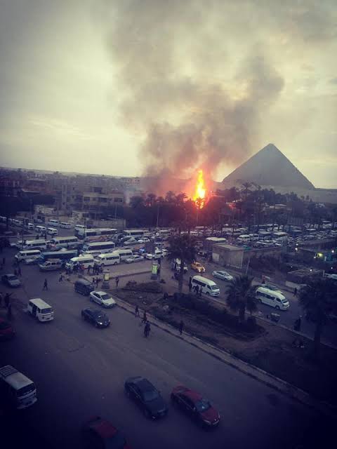 مخلفات نخل.. تفاصيل حريق أهرامات الجيزة