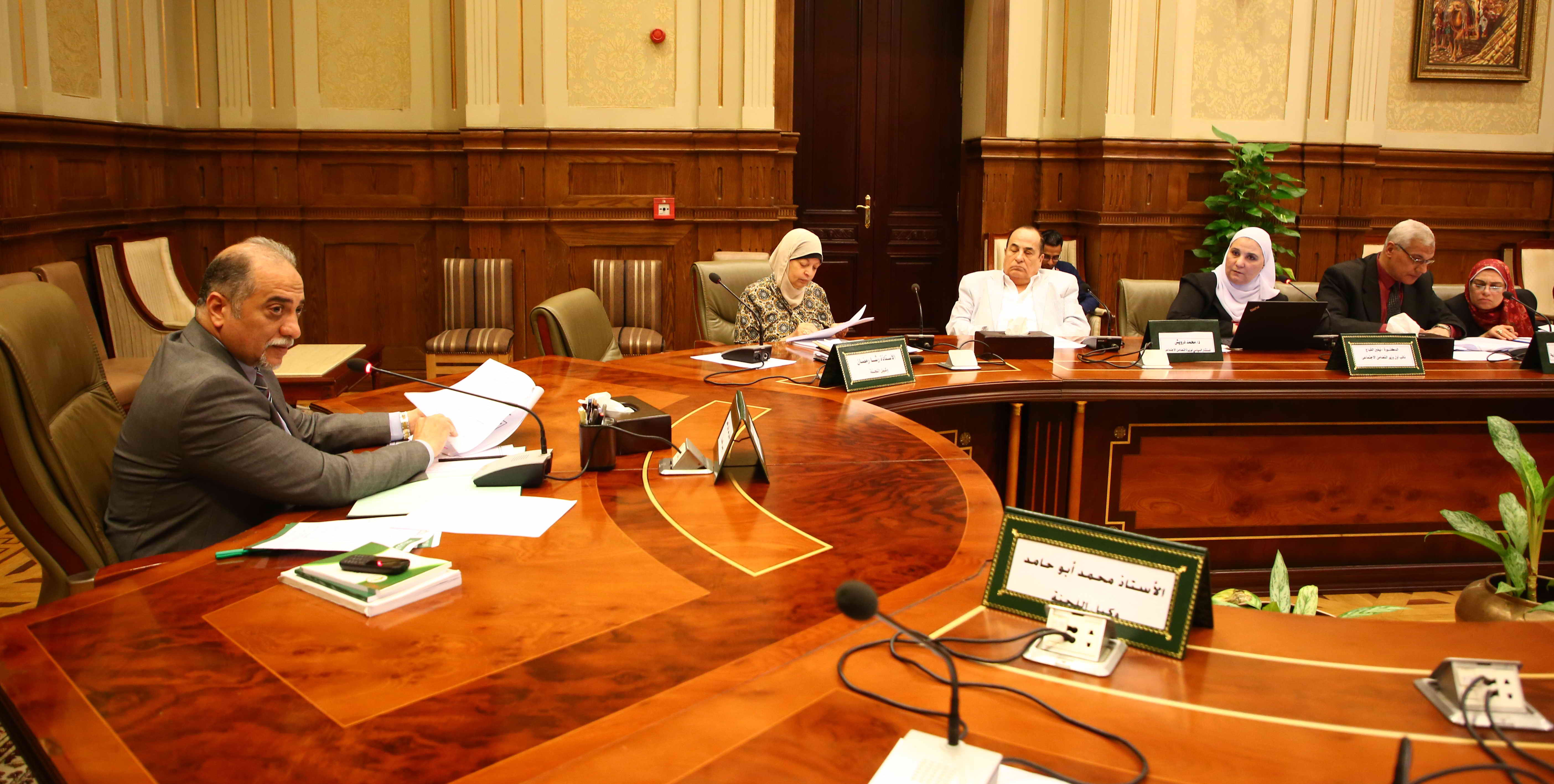 لجنة التضامن: إقرار 19 مليار للحماية الاجتماعية فى مشروع الموازنة الجديدة