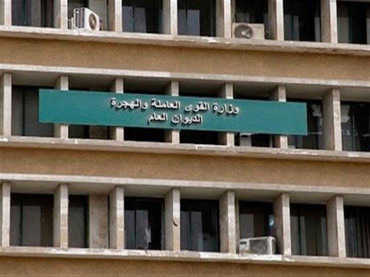 في وزارة القوى العاملة.. 17 موظف يتقاضون 46 مليون جنيه شهريا !