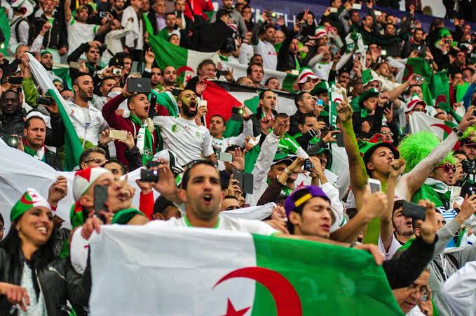 بلماضى يسخر من تشجيع الجماهير المصرية للجزائر : احتاج طبيب عيون