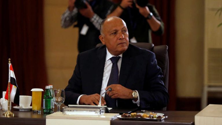وزير الخارجية عن مفاوضات سد النهضة :وصلنا لنقطة الحسم ولدينا تفاؤل حذر "فيديو"