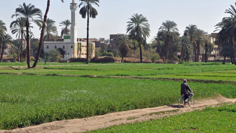 مقتل فلاح بعد محاولته التحرش بربة منزل