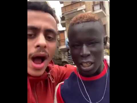 «محمود التاني» يفتتح مشواره بقوة .. هل تتكرر ظاهرة «الحريفة» مع كزبرة وأحمد غزي؟*