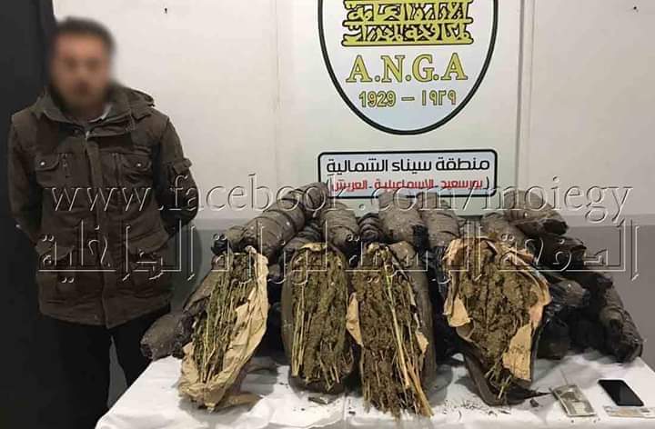 إحباط محاولة نقل وترويج 125 كيلو جرام لمخدر البانجو بالإسماعيلية