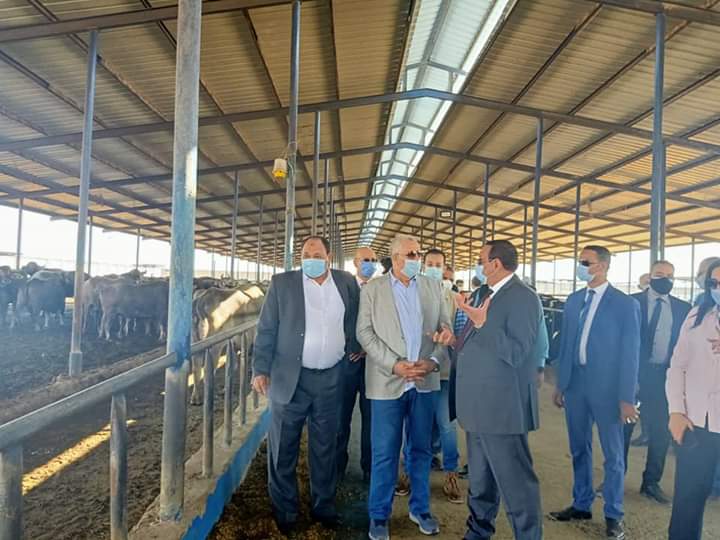 وزير الزراعة ومحافظ البحيرة يتفقدان محطة الإنتاج الحيواني وتصنيع الألبان بغرب النوبارية