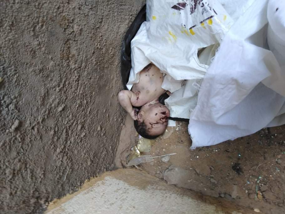 العثور على جثة طفلة متعفنة خلف إحدى المدارس بفيصل