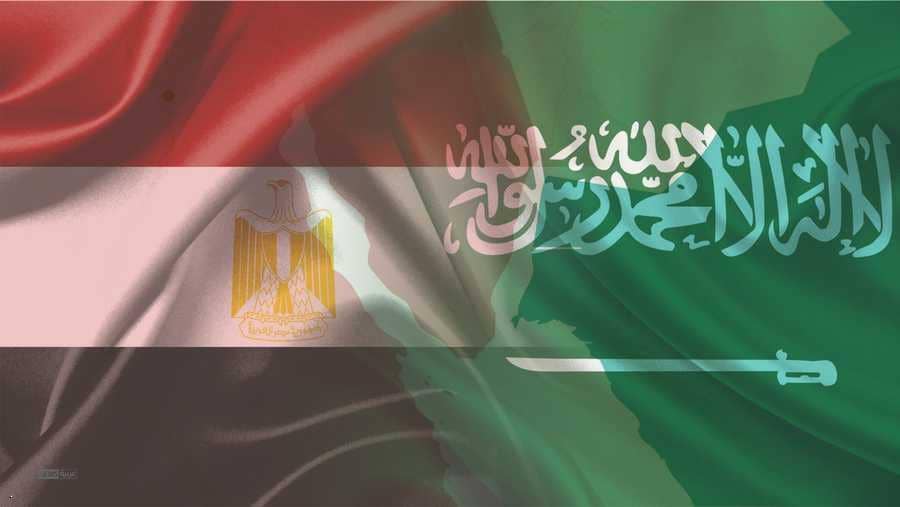 وزارة القوى العاملة :بدء تطبيق مبادرة الفحص المهني الجديدة على 263 مهنة