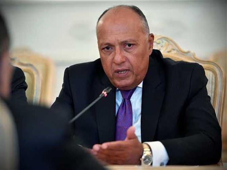 وزير الخارجية : مصر حريصة علي حل النزاعات التي تشهدها المنطقة بشكل سلمي