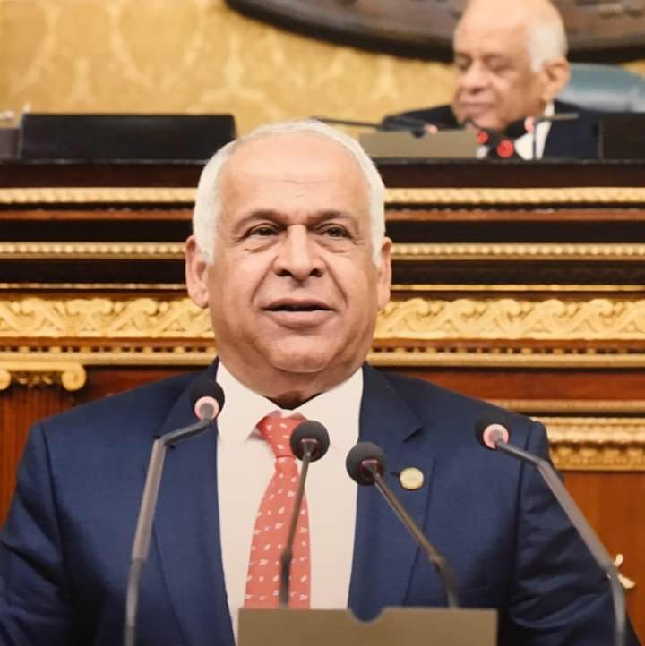 فرج عامر: المشاركة الإيجابية في الانتخابات البرلمانية تضمن مستقبل أفضل لمصر