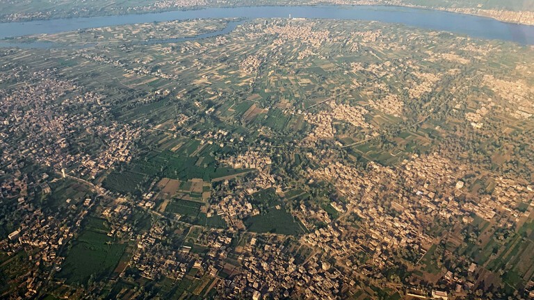 نقيب الفلاحين: مصر تشهد حدثا زراعيا غير مسبوق في تاريخ الزراعة