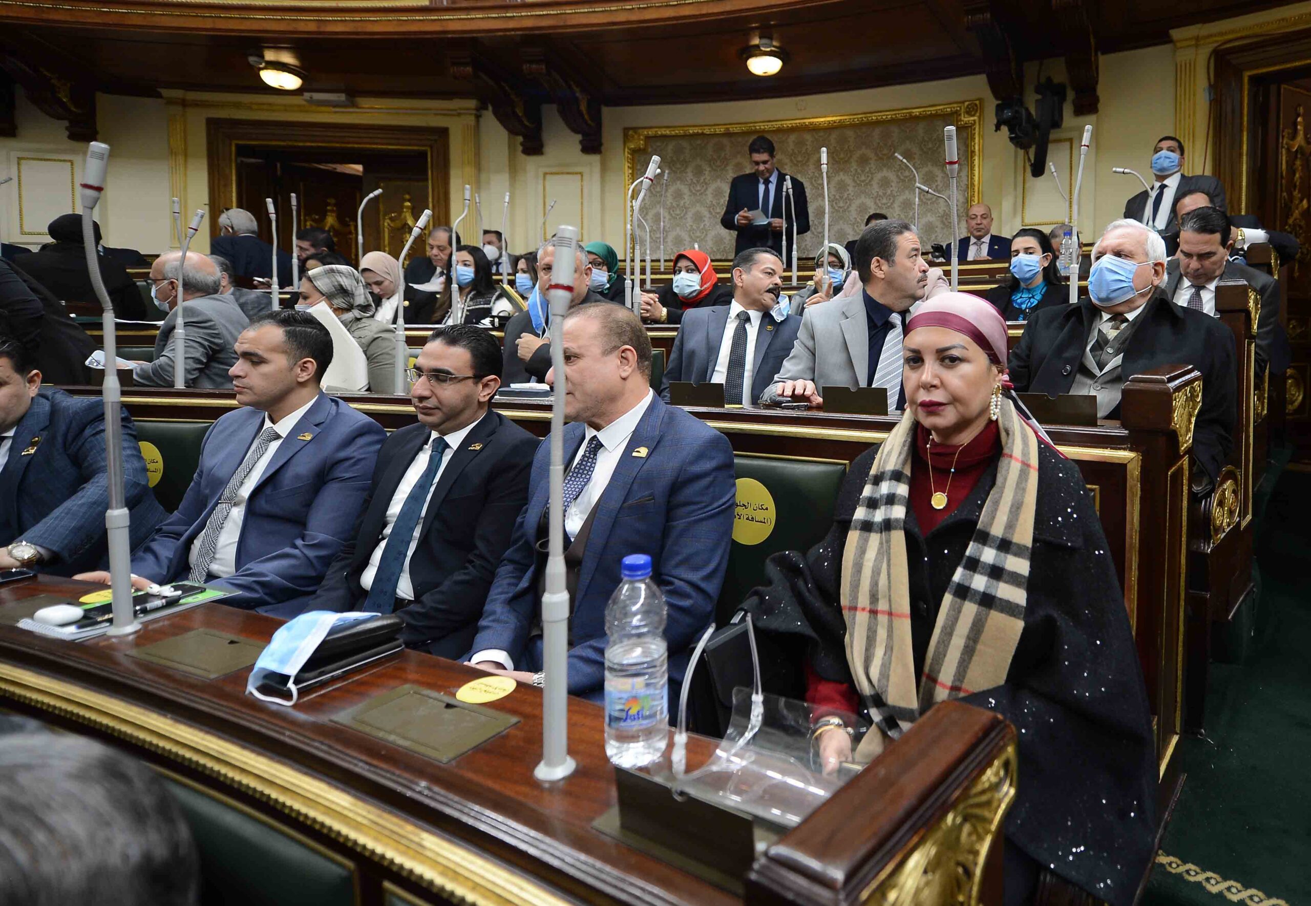 وزيرة الهجرة من البرلمان : 3.5 مليون مصري استفادوا من ميكنة خدمات المصريين في الخارج
