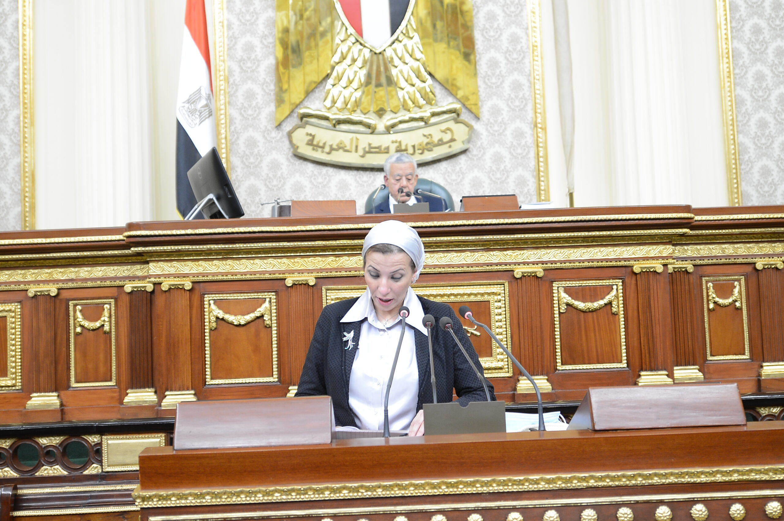 النائبة ريهام عبد النبى تطالب "البيئة" بإعادة تشغيل المصانع المتوقفة لتدوير القمامة بمحافظة أسوان