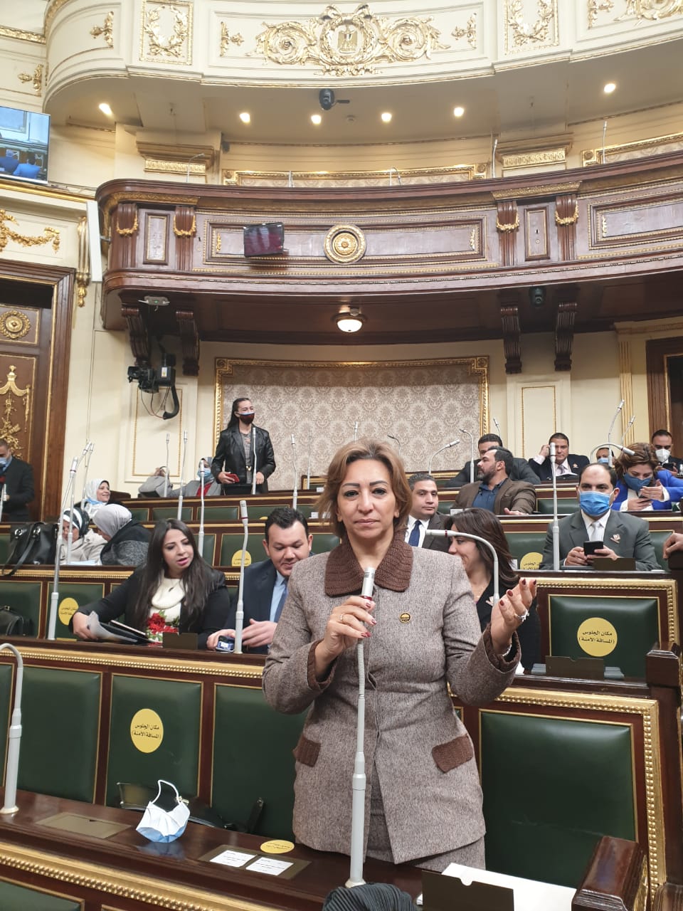 سؤال برلماني لوزير الزراعة بشأن خطة السياسة الزاعية في مصر