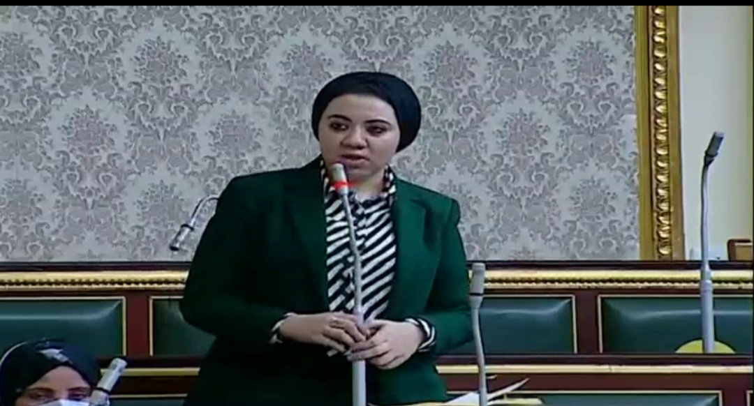 لحصر أوضاعهم المعيشية.. مقترح برلماني بإعداد قاعدة بيانات موحدة ومحدثة عن ذوي الإعاقة
