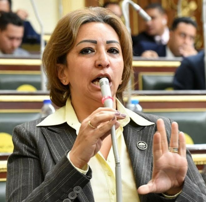 النائبة مها عبدالناصر تتقدم باقتراح برغبة بشأن إنشاء منصة إلكترونية للإبلاغ عن جرائم الإنترنت
