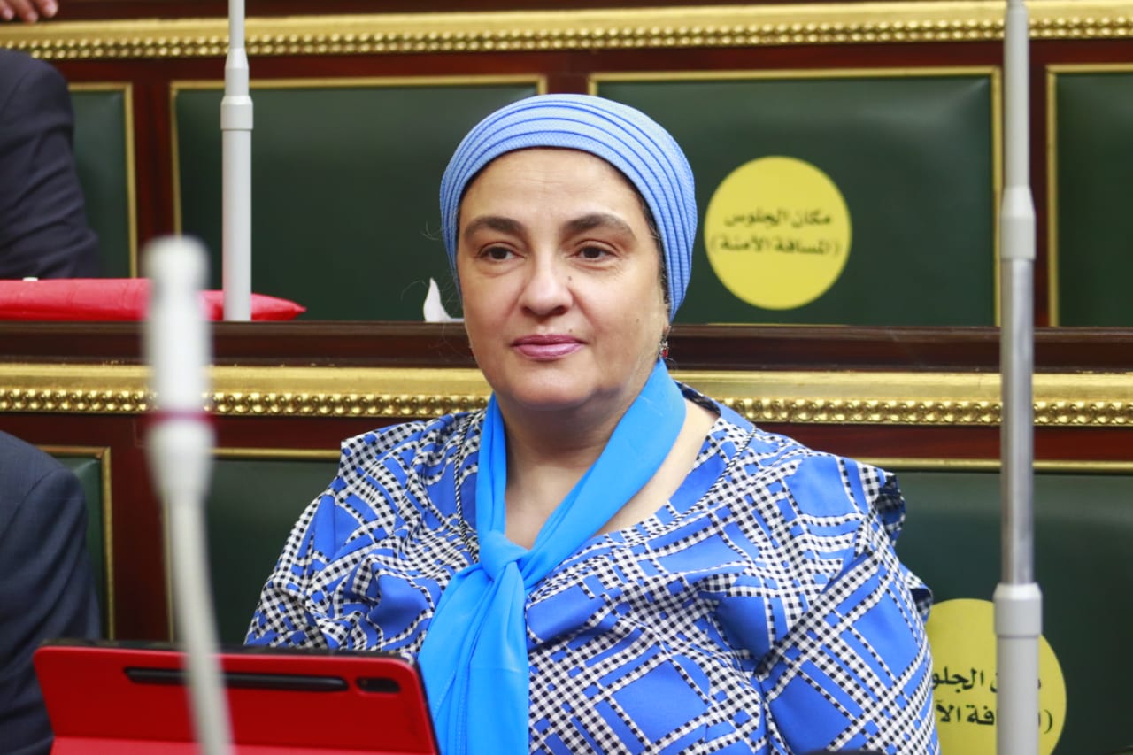 النائبة سميرة الجزار.. نائبة قصر النيل تتدخل لحل مشكلة بقرية القيصرية بالغربية
