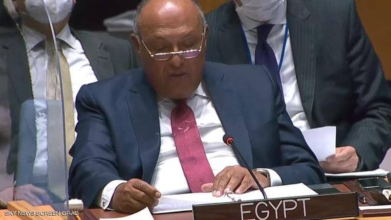 سامح شكري لمجلس الأمن: سد إثيوبيا يمثل تهديدا وجوديا لمصر
