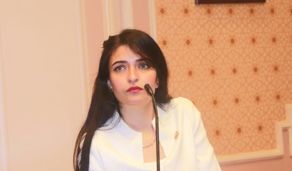بمبادرة من النائبة إيرين سعيد.. مجلس النواب يقر تعديلات قانون الصيدلة لتنظيم مزاولة المهنة وحماية دفعة 2024/2025