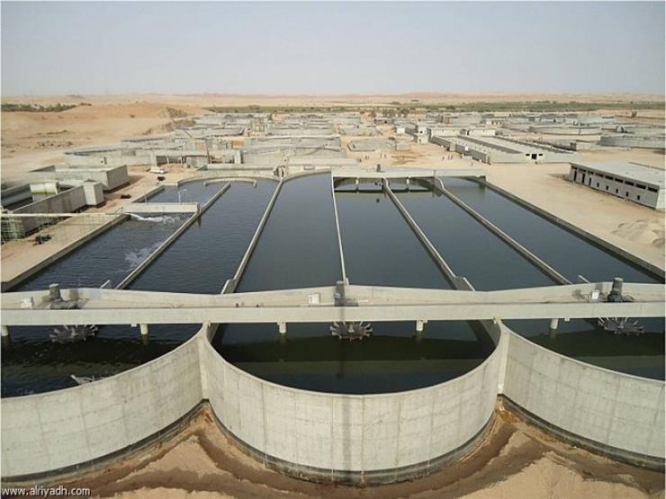 نائب الجيزة: تجربة تشغيل محطة معالجة الصرف بالبدرشين خطوة لتعميمها بمصر