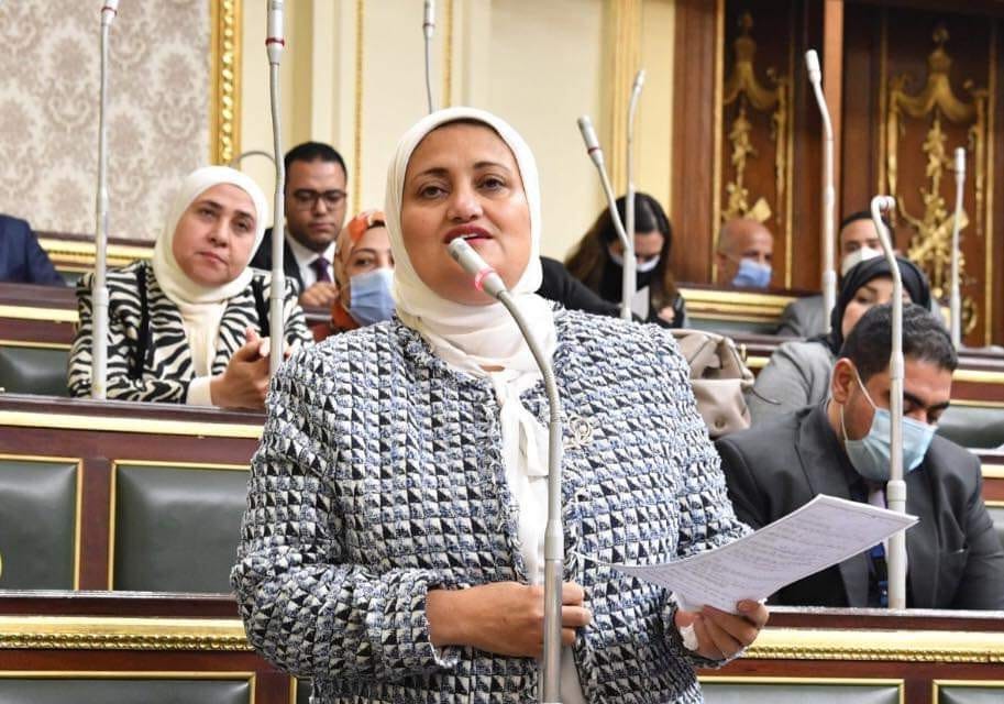 النائبة سناء السعيد تشيد بقرار رئيس الوزراء بإنشاء وحدة مجمعة لحماية المرأة من العنف