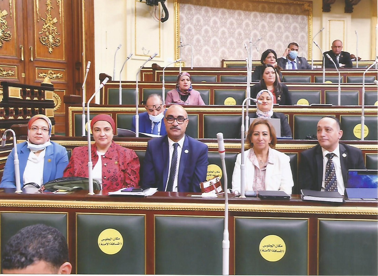 نواب الحزب المصري الديمقراطي يحصدون عدد من المقاعد بانتخابات اللجان النوعية للبرلمان