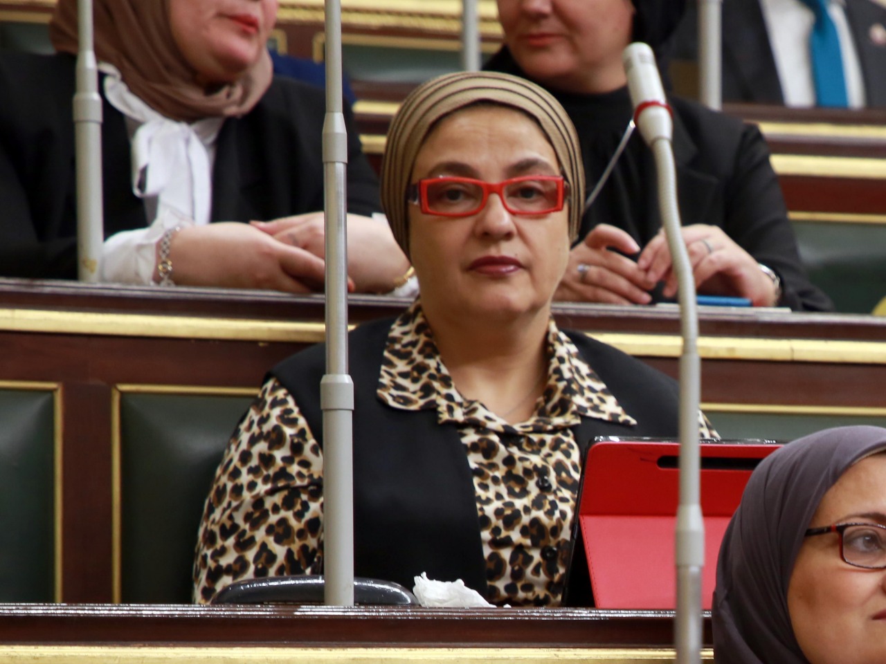 النائبة سميرة الجزار تنجح في حل أزمة زيادة تلوث مياه الشرب لأهالي رملة الأنجب بمحافظة المنوفية