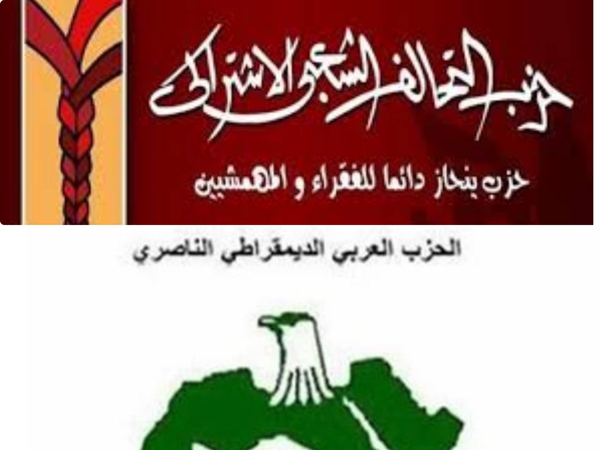 حزب التحالف الشعبى الاشتراكى يهنىء الحزب العربى الديمقراطى الناصرى باستكمال تشكيلاته القيادية