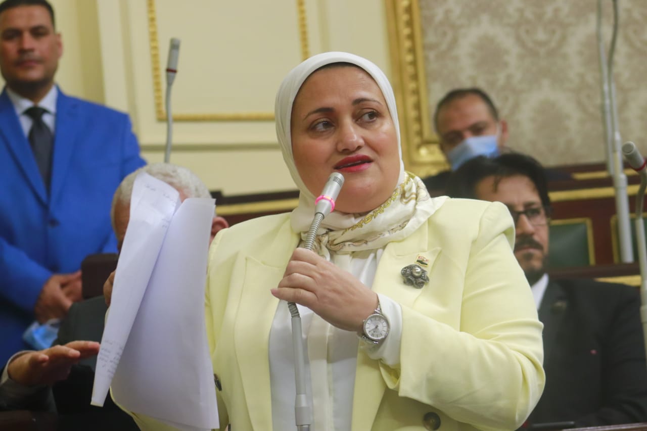 النائبة سناء السعيد تطالب بوقف مزاد لـ28 فدان بأسيوط وتحويلهم للمنفعة العامة