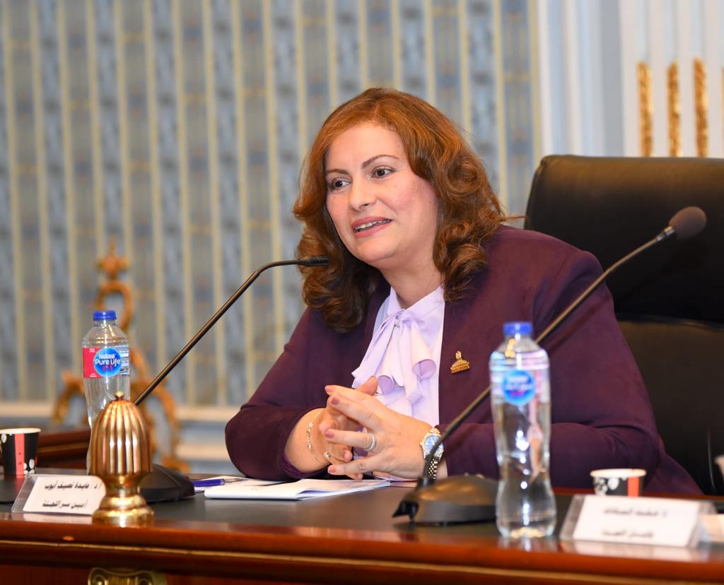عايدة نصيف: يجب وضع استراتيجية مستقبلية لحل مشكلات الهجرة والعمالة بالخارج