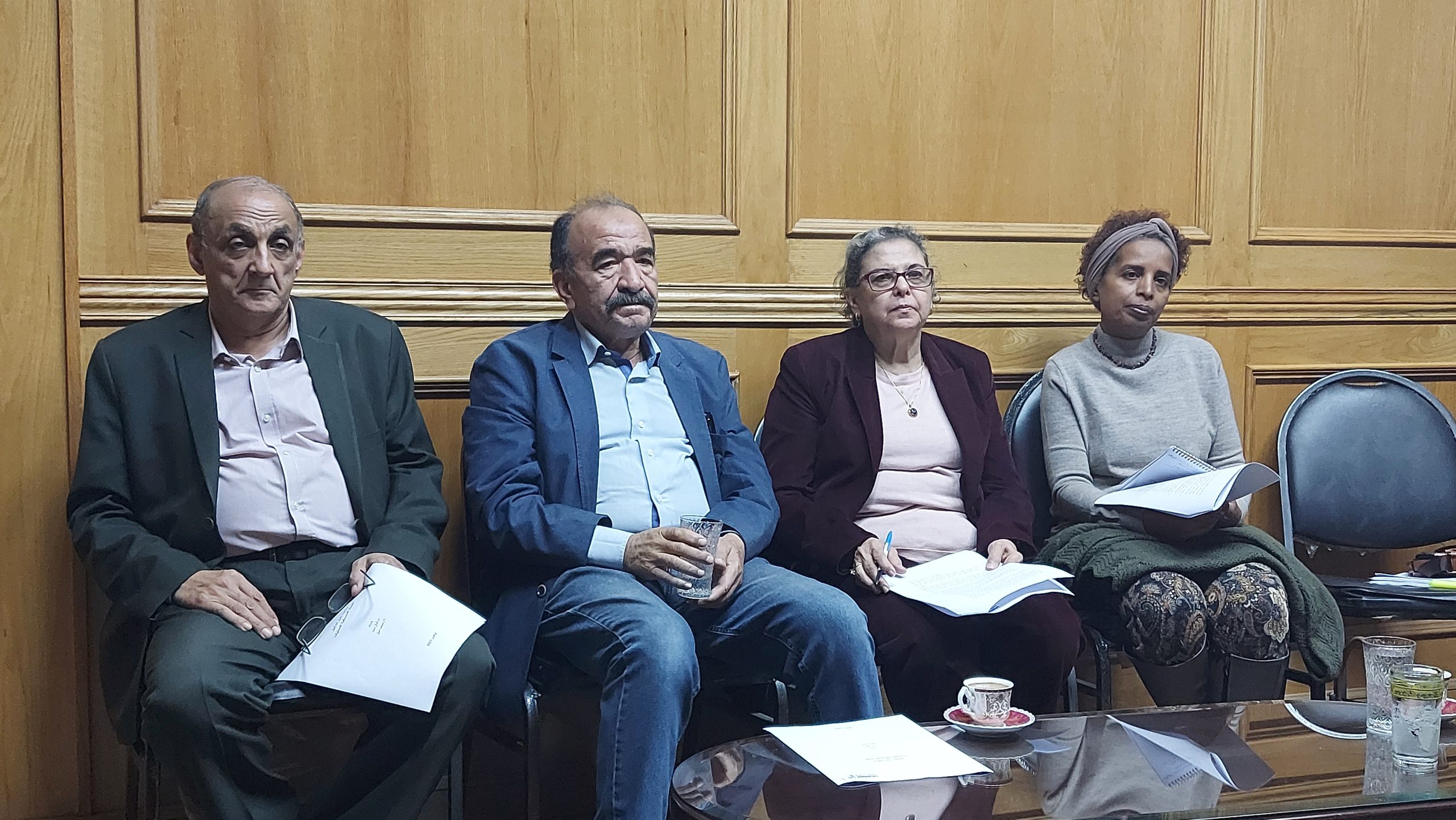 كريمة الحفناوي: اللجنة التنسيقية للمحليات لا تهدف لعمل تحالف انتخابى