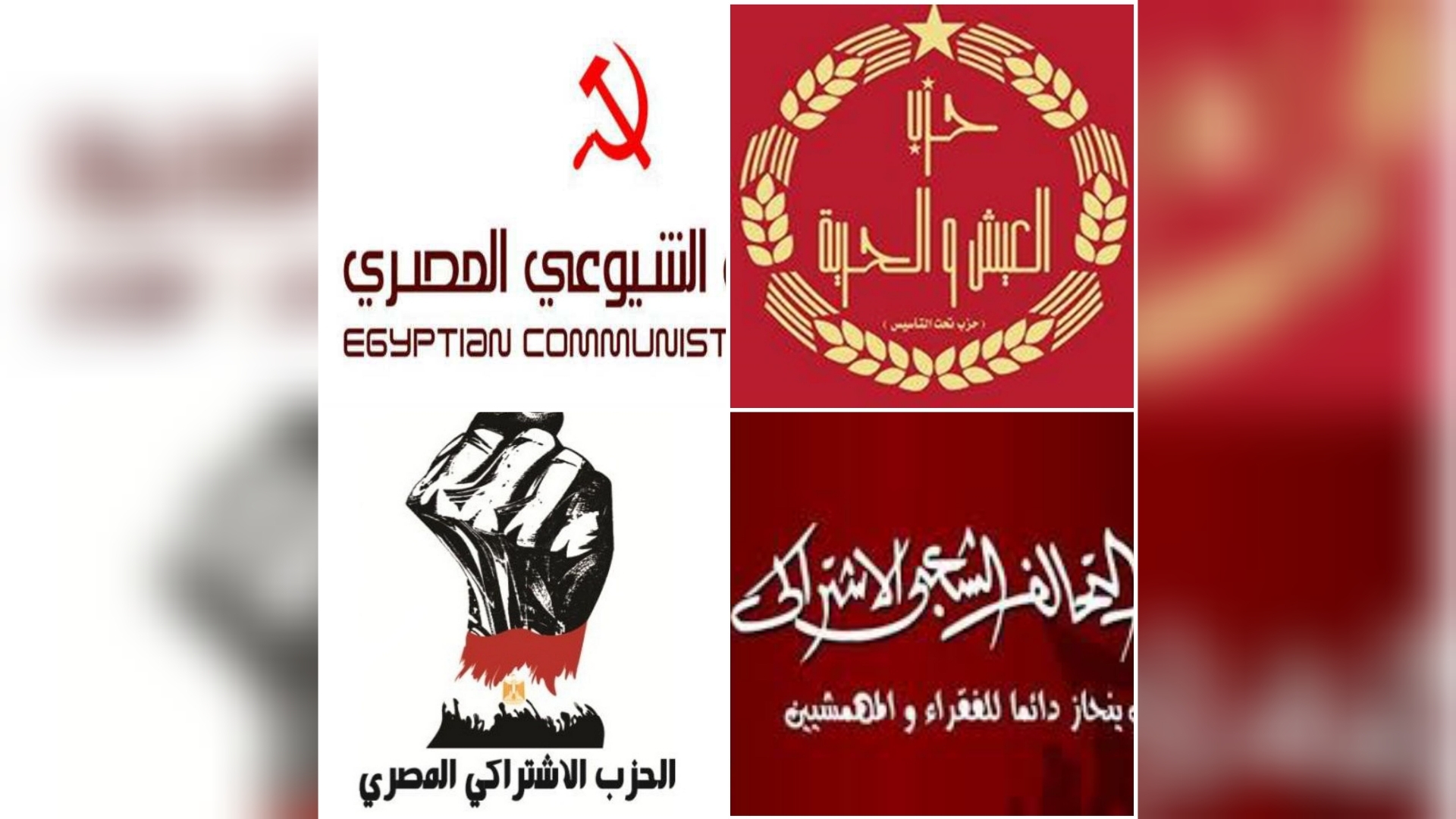 الأحزاب الأشتراكية ترفض خصخصة شركة سماد أبو قير