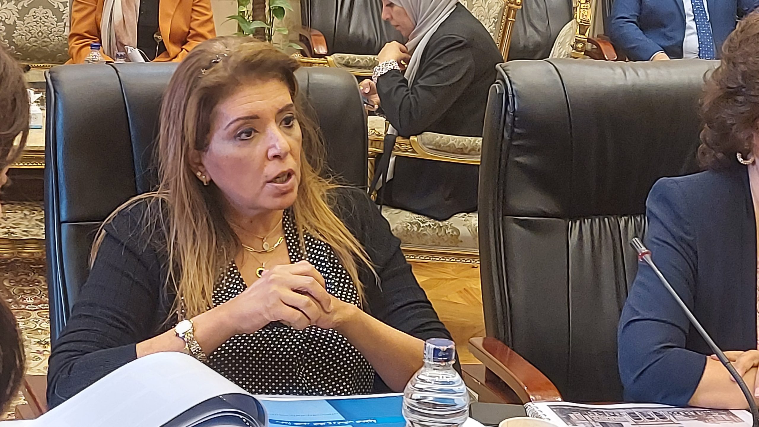 بعد واقعة فتاة التجمع .. تحرك برلماني عاجل لإعداد تعديل تشريعى لقانون مكافحة جرائم تنقية المعلومات