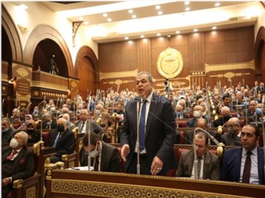 وزير القوى العاملة: جار إعداد مشروع قانون لتنظيم العمالة المنزلية‎‎