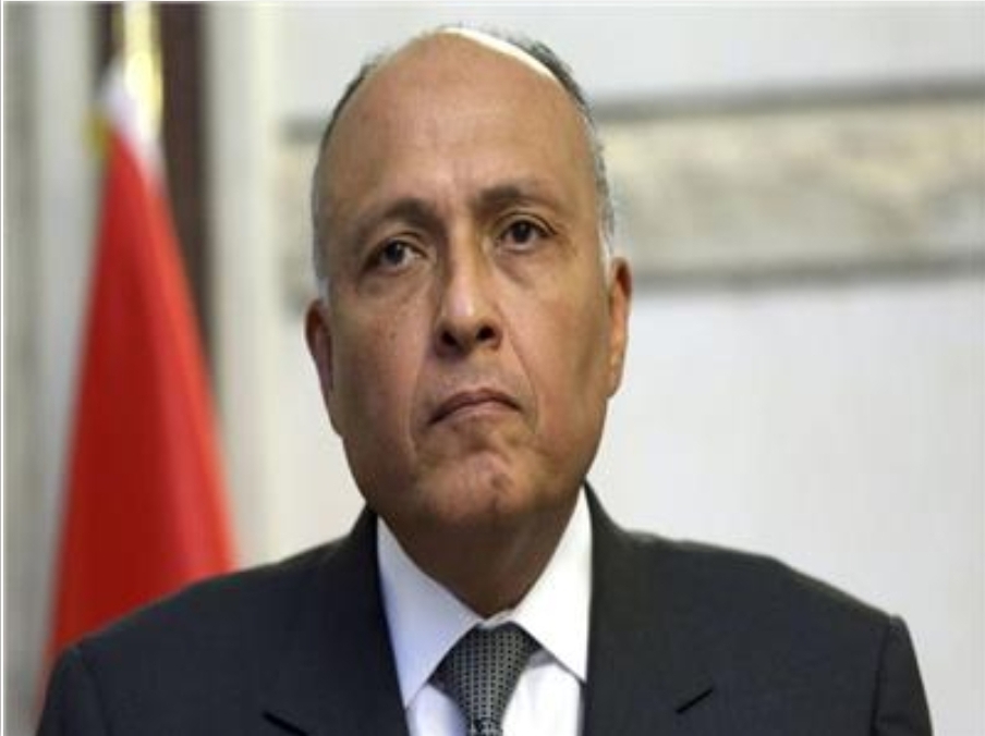 شكري: مصر تعتزم البناء على ما تحقق خلال الدورة الأخيرة لمؤتمر تغير المُناخ