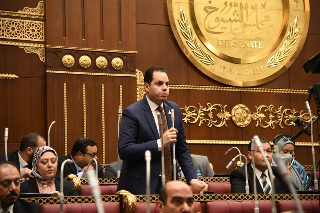 احمد فوزى" نائب التنسيقية": نعانى من أزمة خروج الشباب المبتكرين بسبب سياسات الماضى