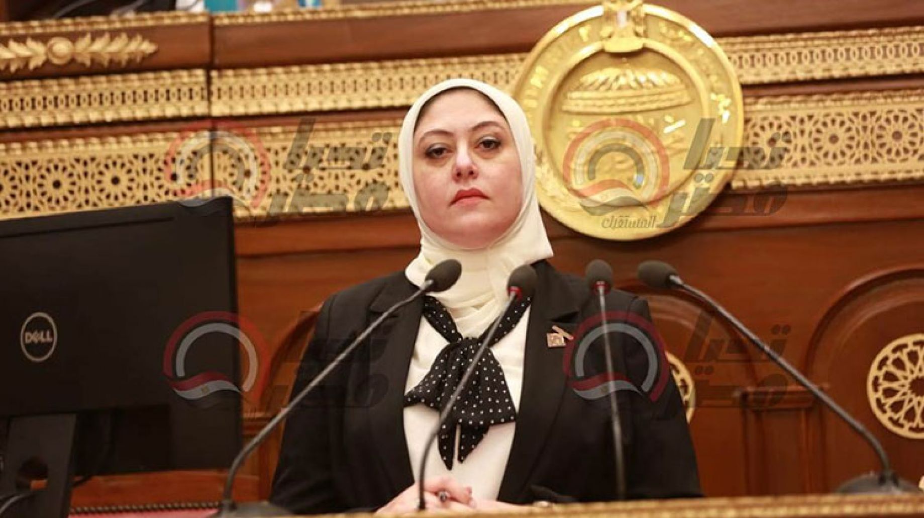 نهي زكي "نائبة التنسيقية" : الشباب أكثر اقدام علي المخاطرة.. والاتصالات لا تستغل طاقتهم الإبداعية
