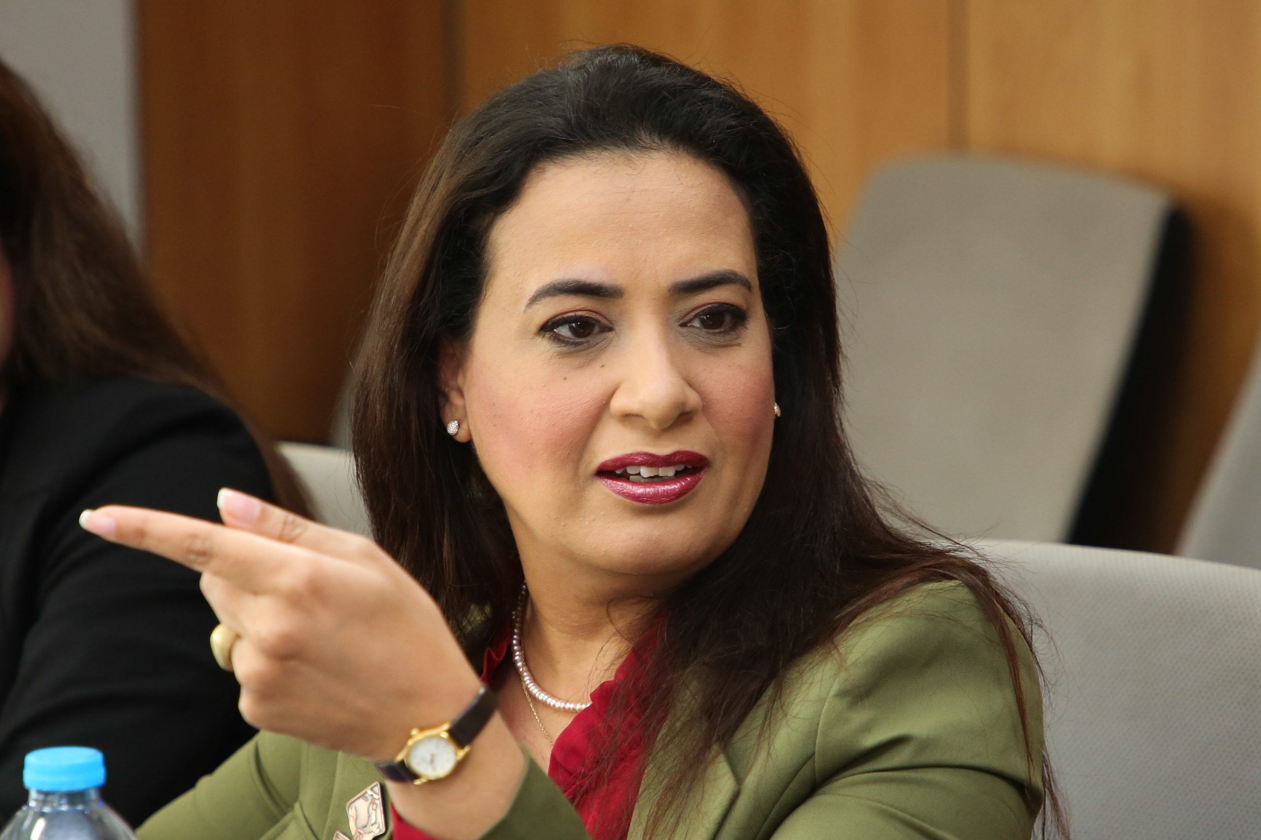 راجية الفقي"نائبة التنسيقية" : الرئيس مهتم بالابتكار .. ونريد اجابات واضحة من الحكومة حول ريادة الأعمال