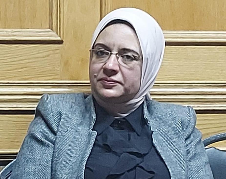 النائبة ريهام عبد النبي تتقدم بطلب إحاطة للحكومة بشأن خط الصرف الصحي بمركز ادفو : يهدد الكنائس والمنازل وأرواح المواطنين