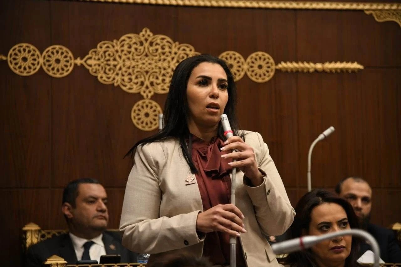 سها سعيد "نائبة التنسيقية " : تنتقد القصور التشريعي لتهيئة مناخ الابداع وريادة الاعمال